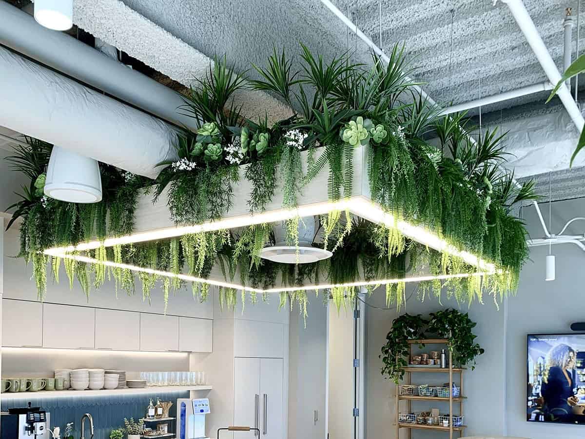 Adyen's ceiling planter seen from the café: ferns, palms and succulents spilling from a lit frame above the counter