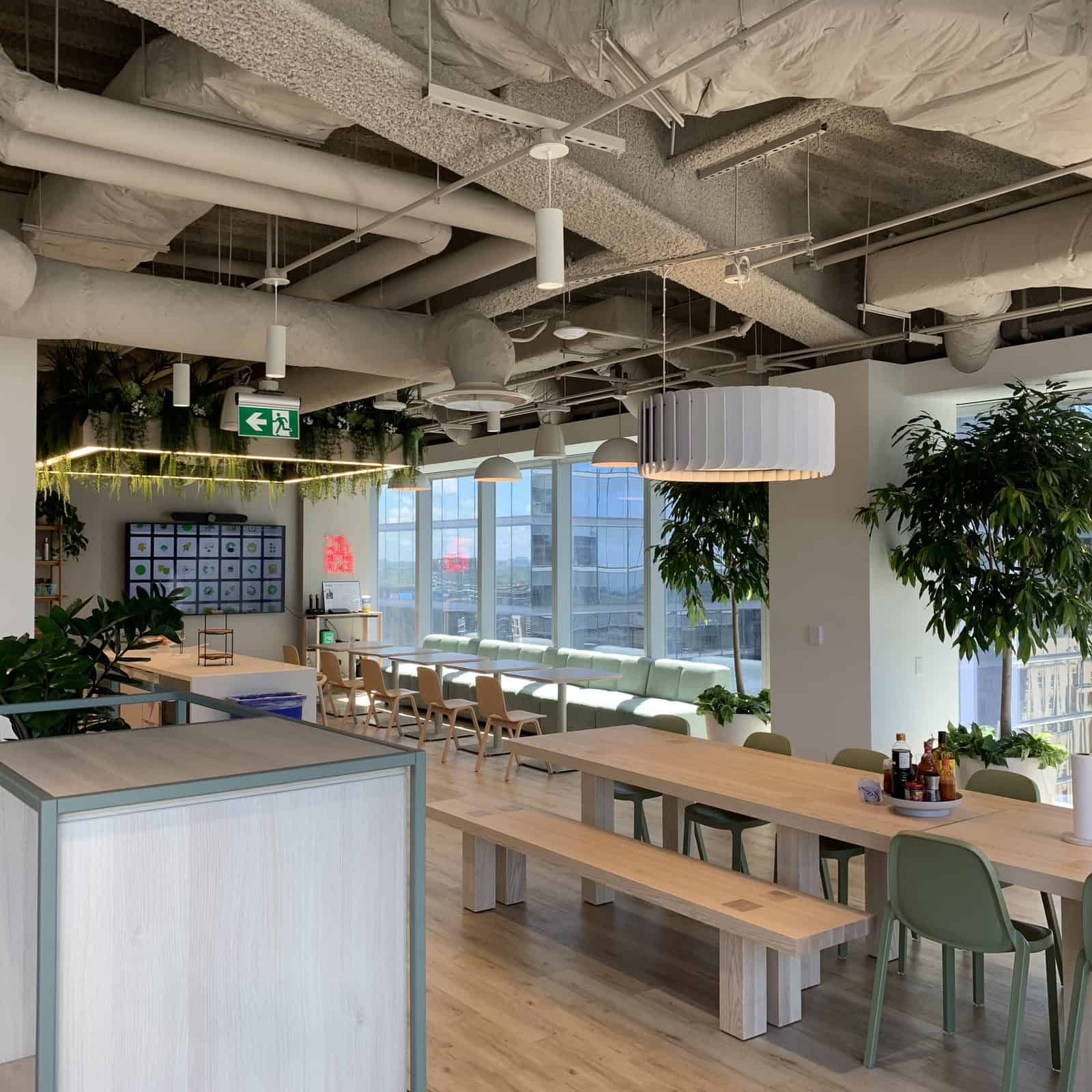 A Toronto office dining area with live trees by the city windows and an artificial ceiling planter over the café