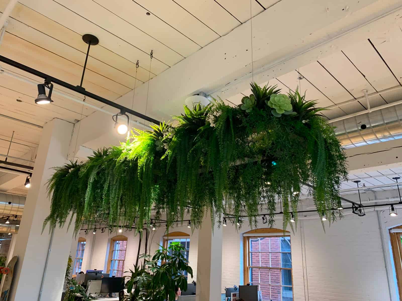 A suspended planter of artificial greenery seen across an open-plan Toronto office with arched brick windows