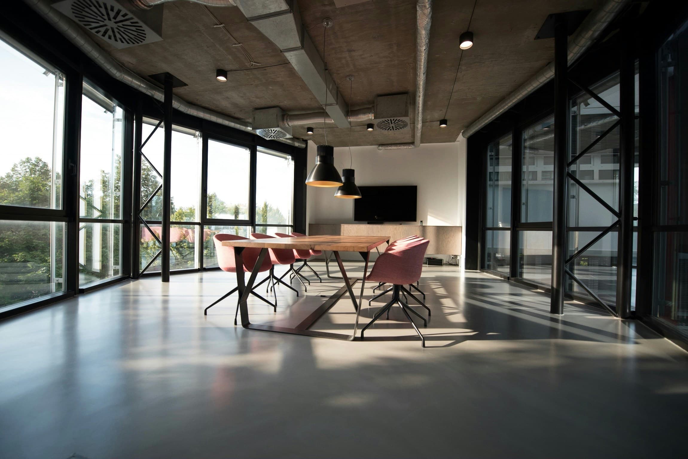 The Best Plants for Toronto Office Boardrooms and Reception Areas