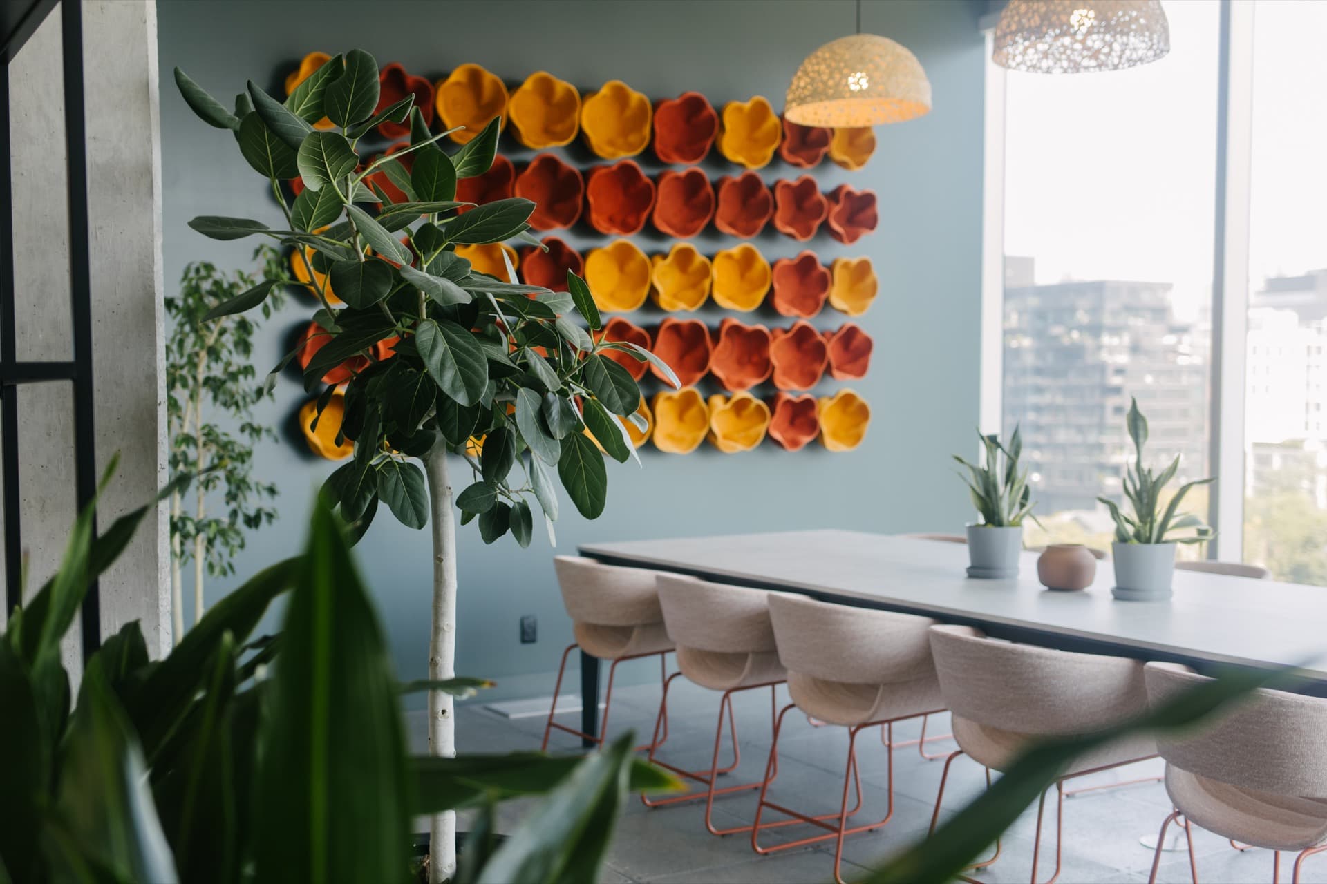 The Best Low-Light Office Plants for Canadian Offices