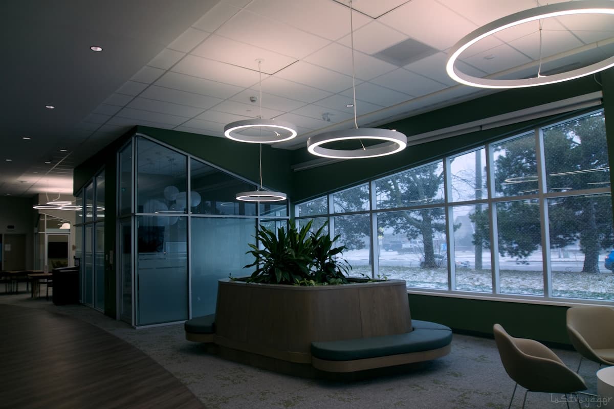 Why Your Toronto Office Plants Struggle in Summer (It's the AC, Not the Heat)