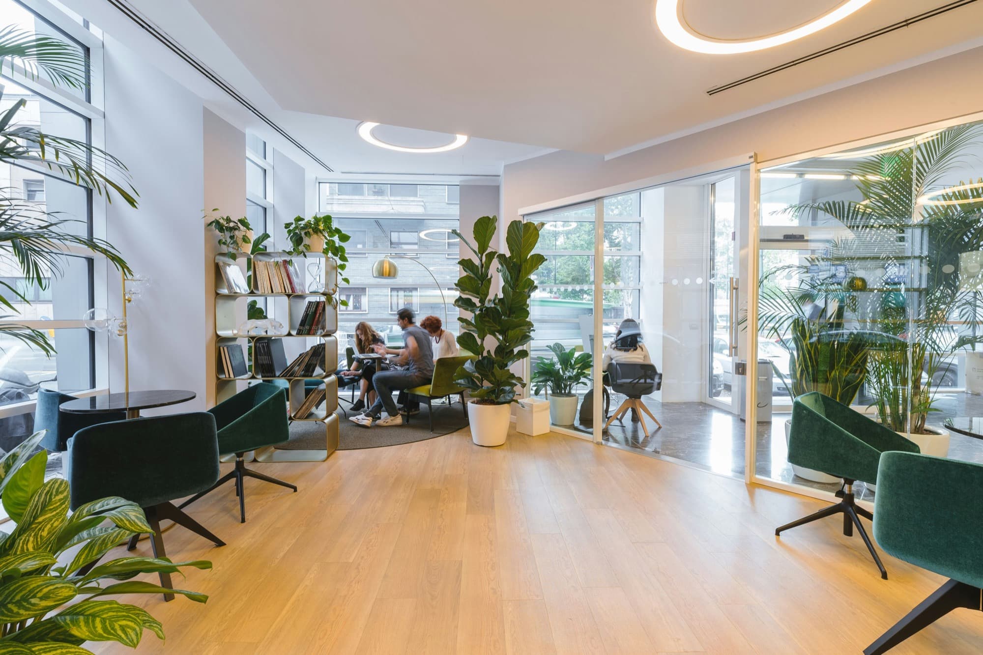 How to Know If Your Office Plants Are Getting Too Much or Too Little Light in Summer