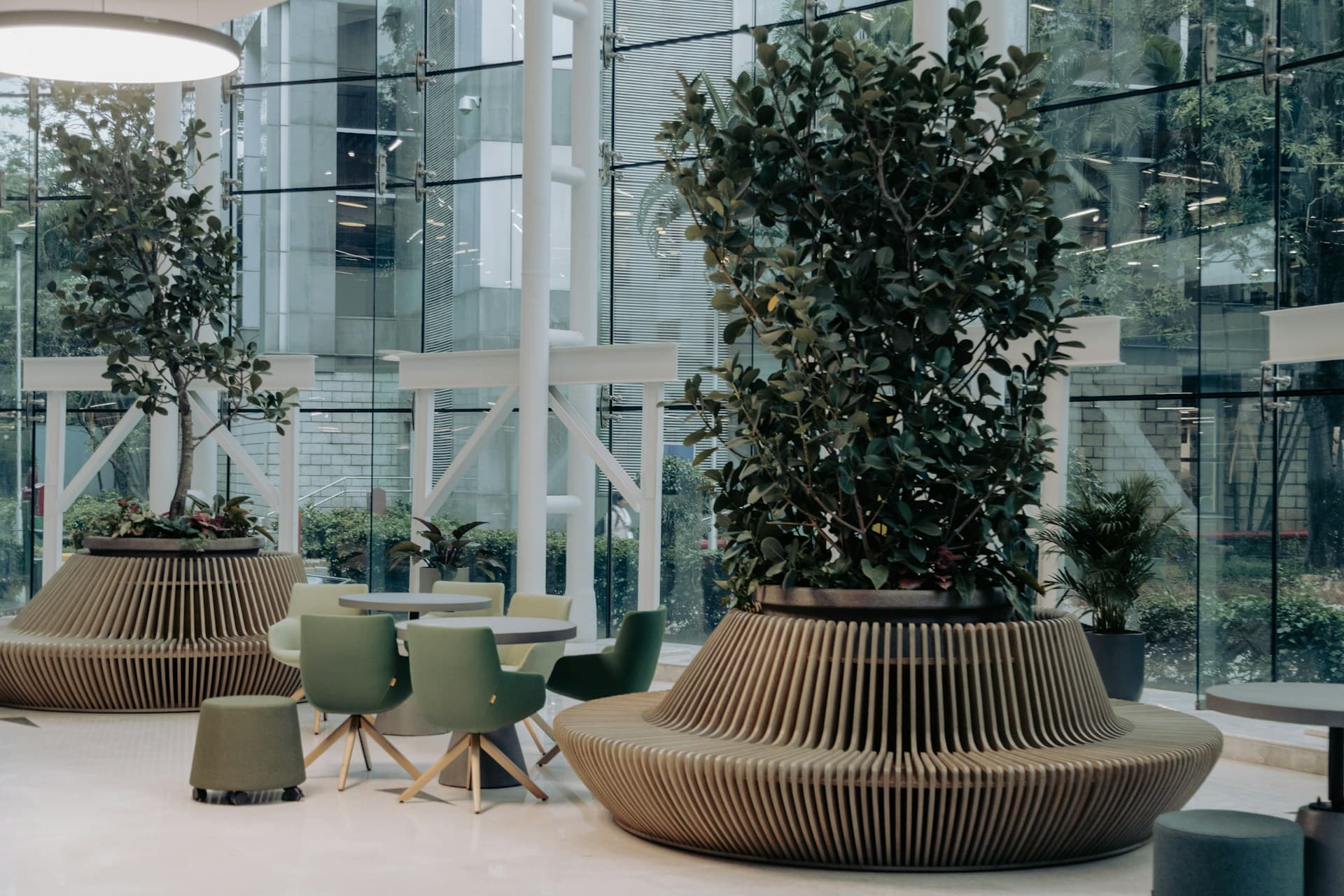 What Your Toronto Office Plants Need Right Now — Before Summer Hits