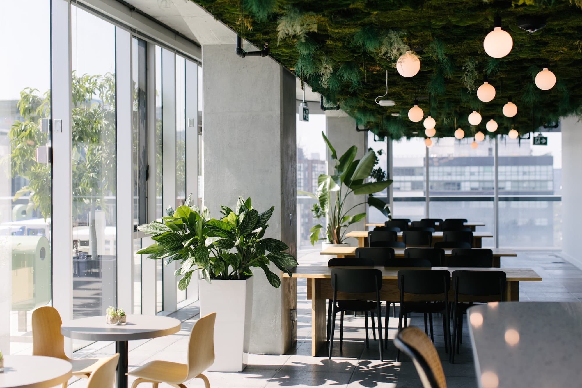 Office lounge with biophilic plant arrangement