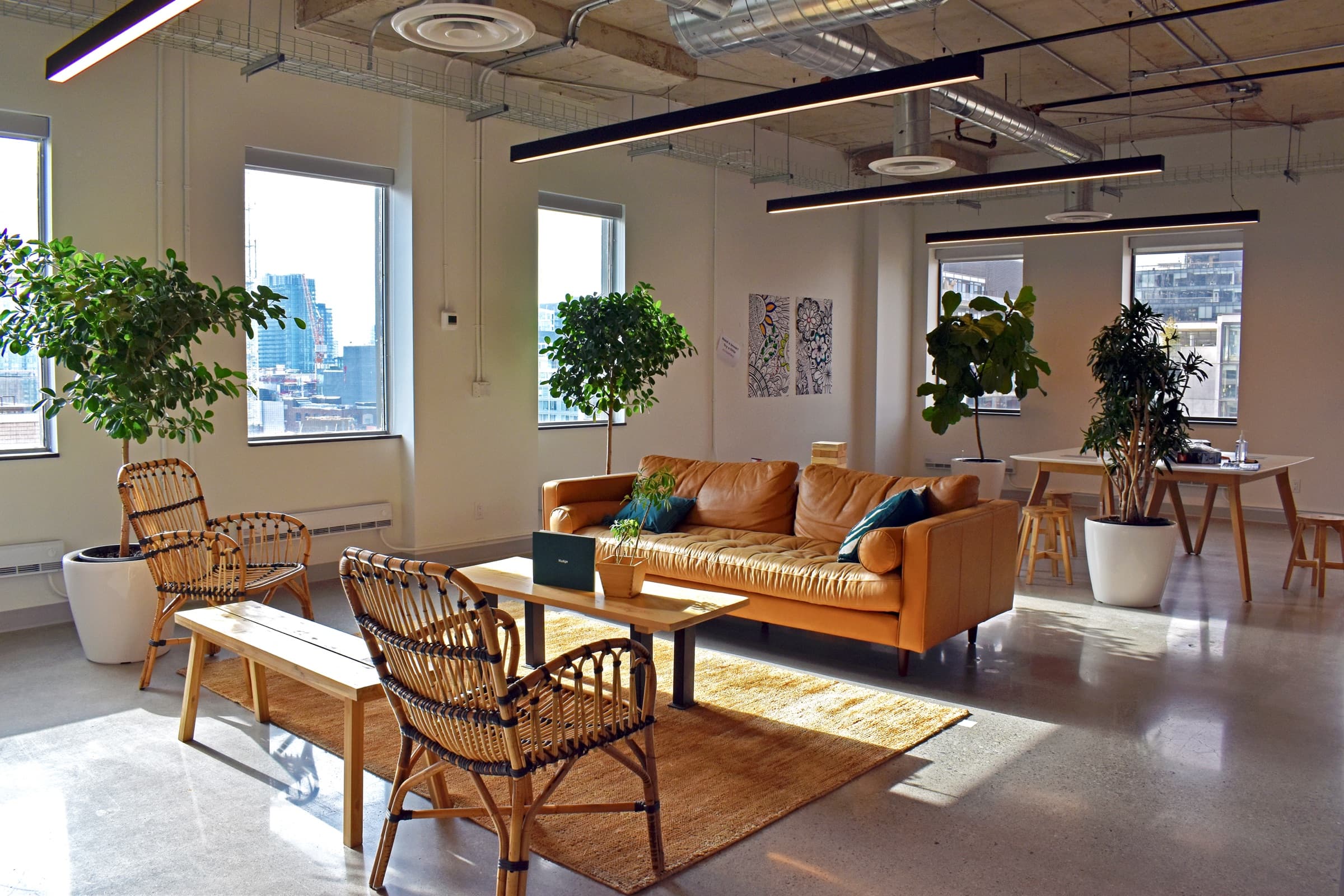 Office plant maintenance visit by a Benji's technician in Toronto