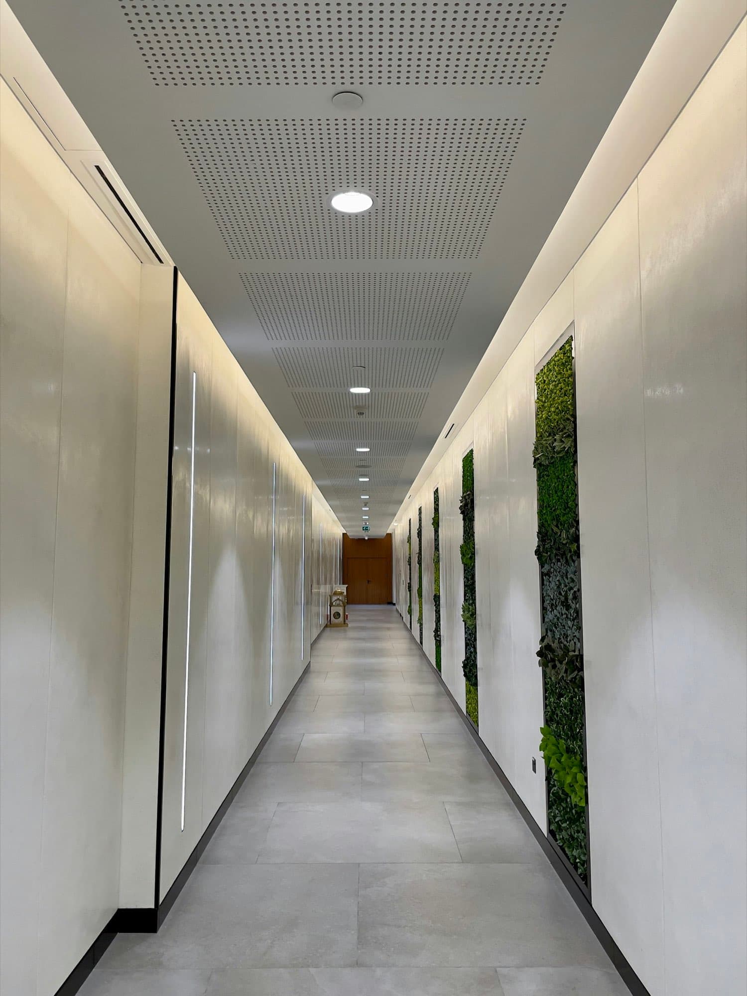 A long office corridor with tall narrow planted panels set into one wall