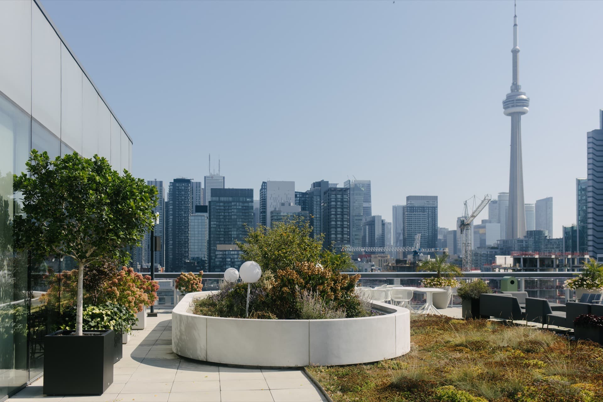 Rooftop garden with Toronto skyline and CN Tower in the background