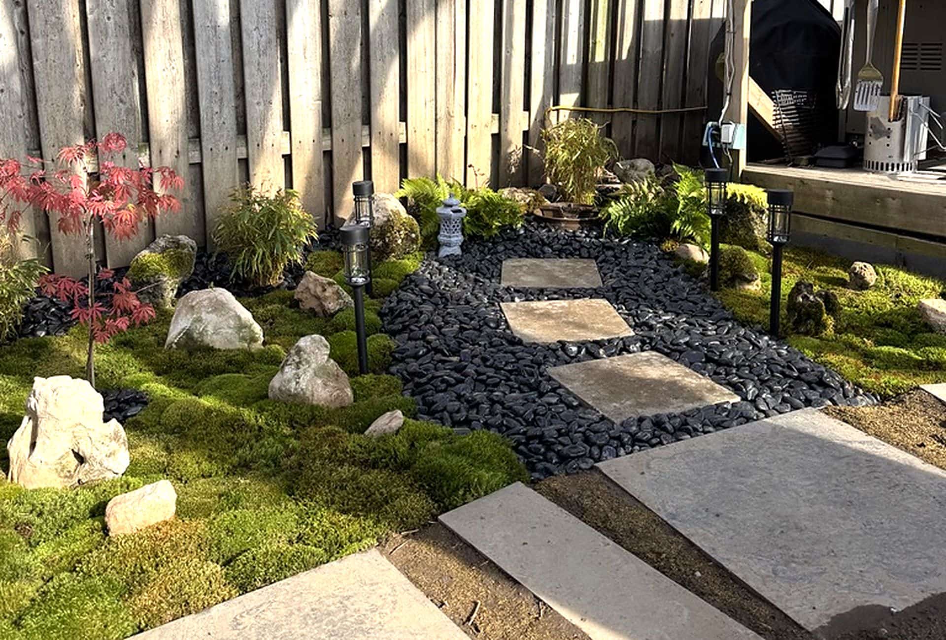 Japanese-style moss garden in a fenced backyard — moss ground cover, boulders, a red Japanese maple, black river rock and stepping stones