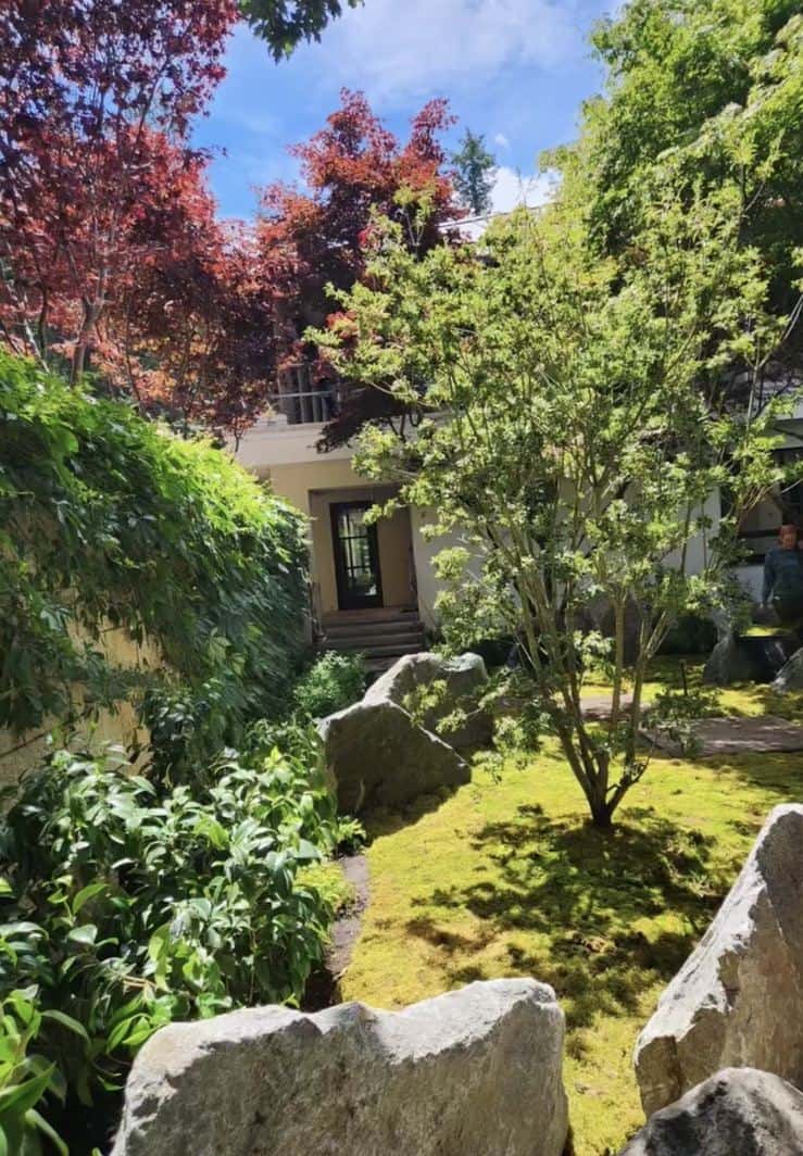 Shaded courtyard with a moss floor, feature boulders and a Japanese maple