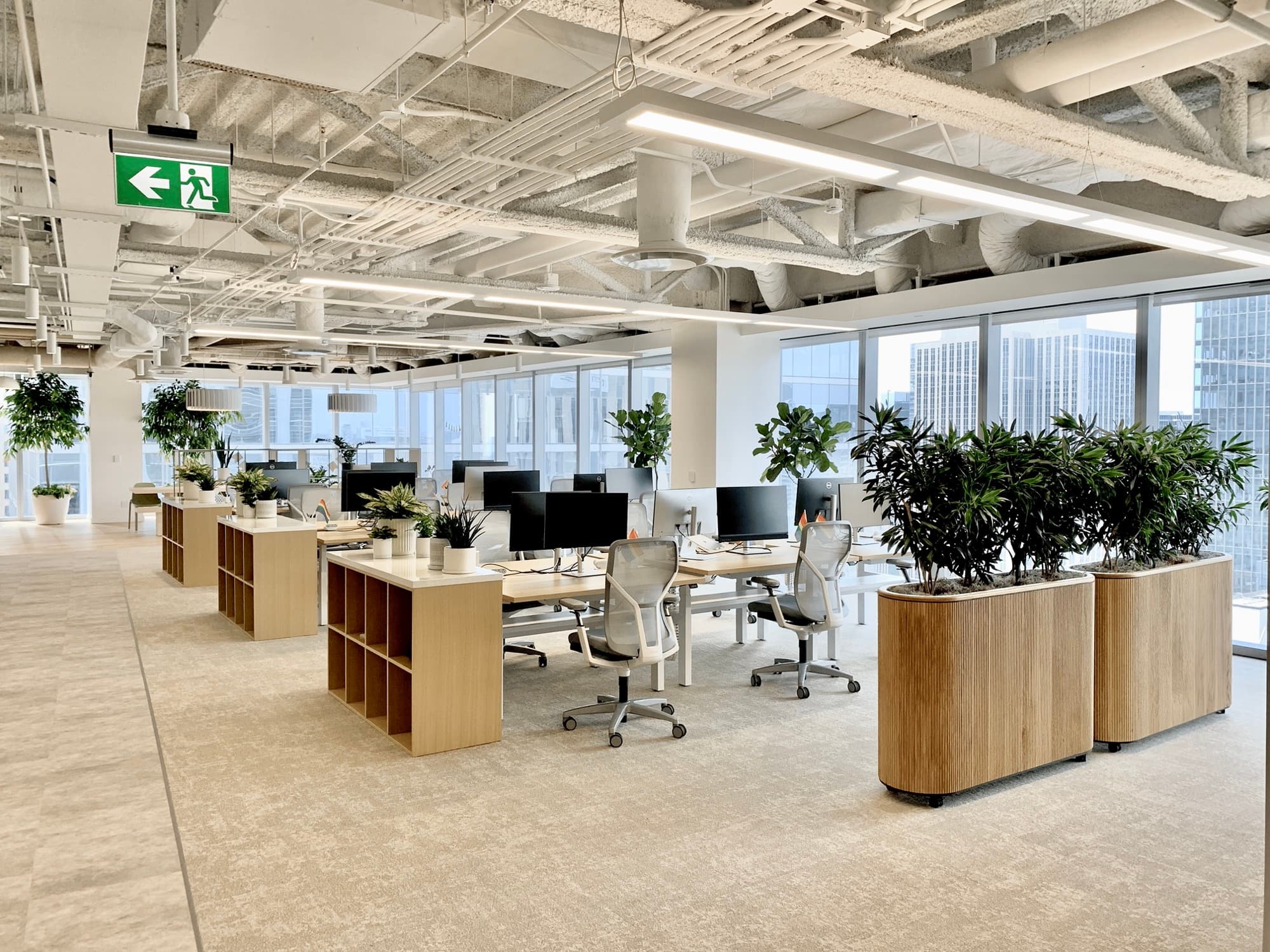 Adyen Toronto office plants — culture-driven plant program by Benji's