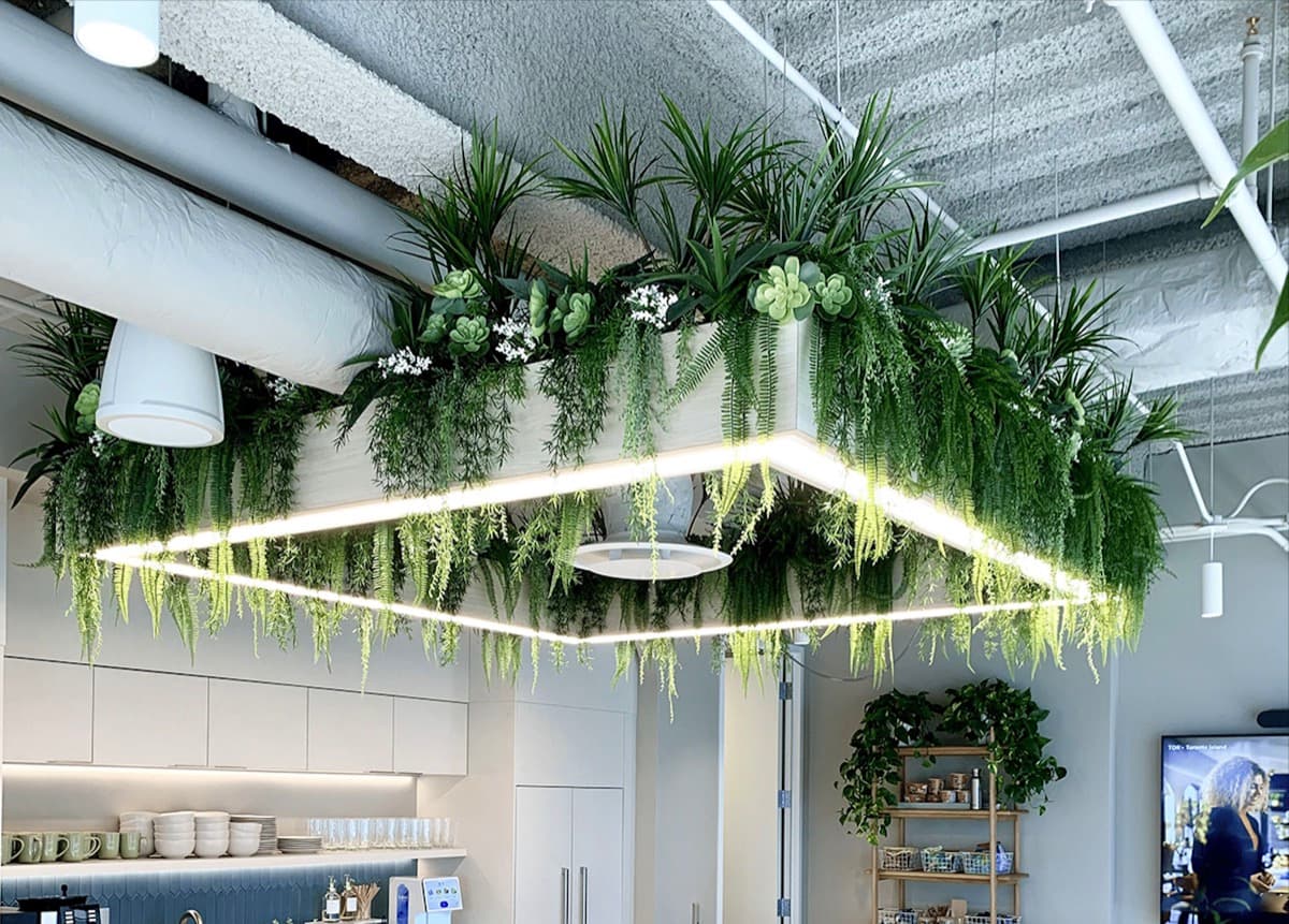 Artificial & Preserved Plants