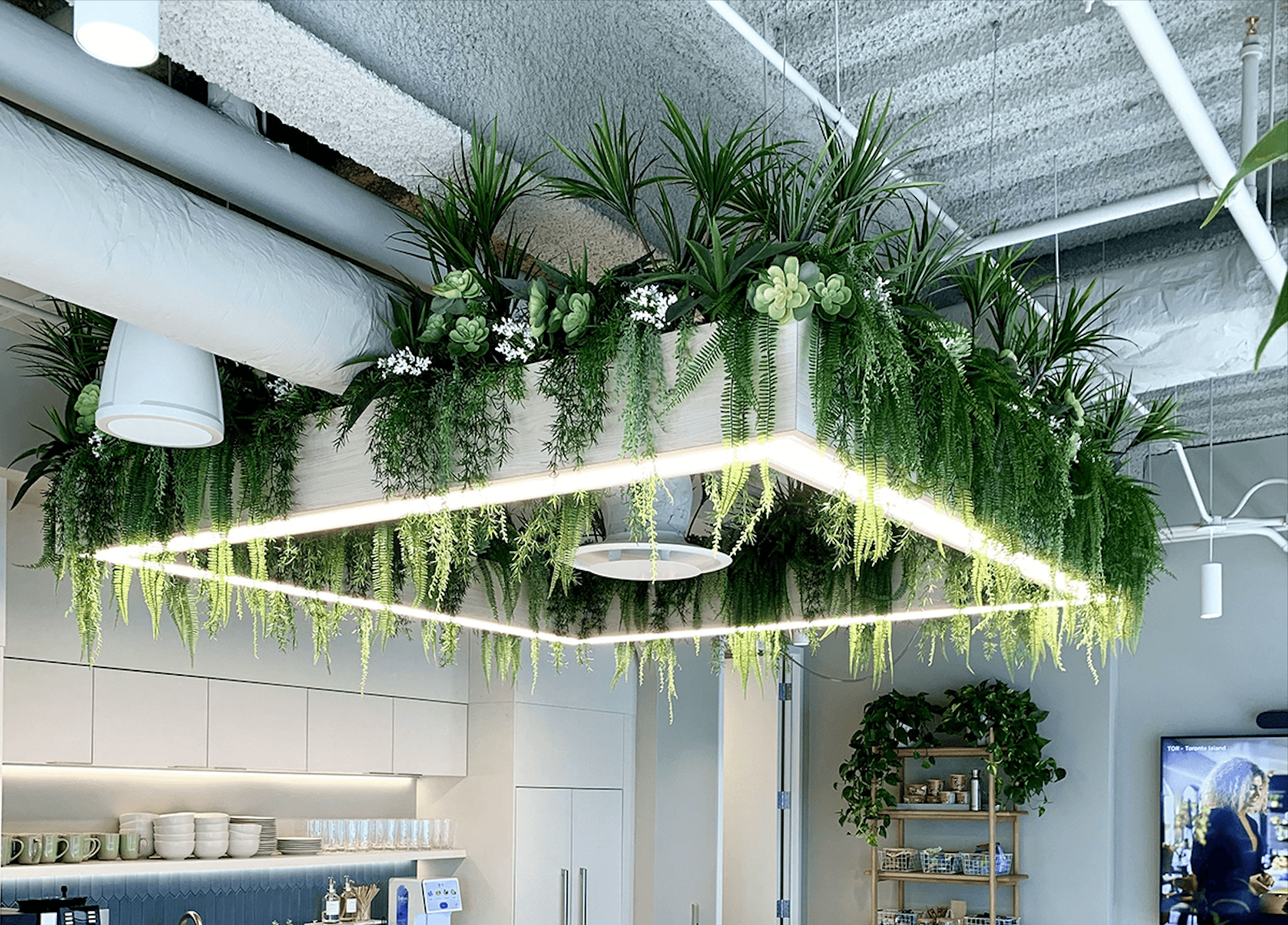 Artificial & Preserved Plants