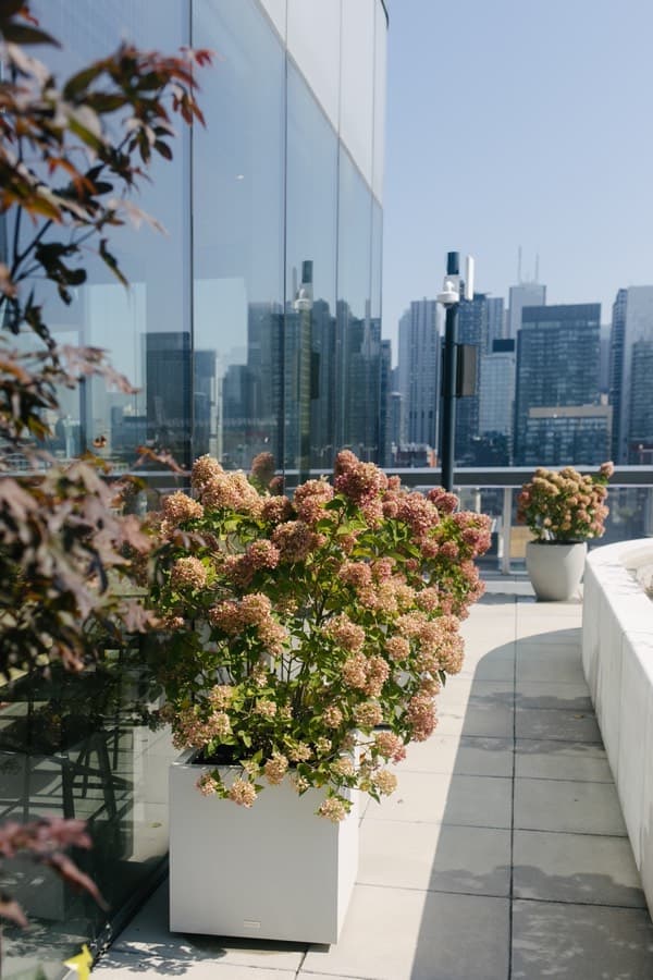 Exterior Planters & Building Greenery