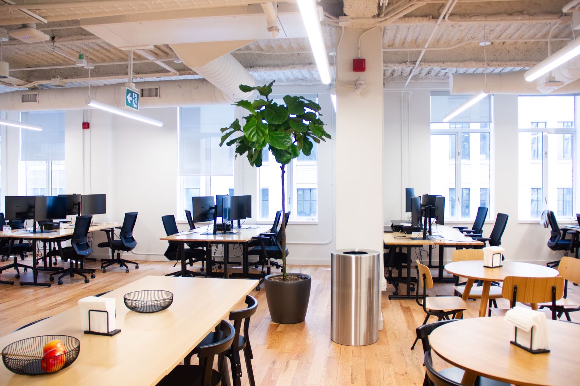 A 226-Plant Rental Program Across Three Floors