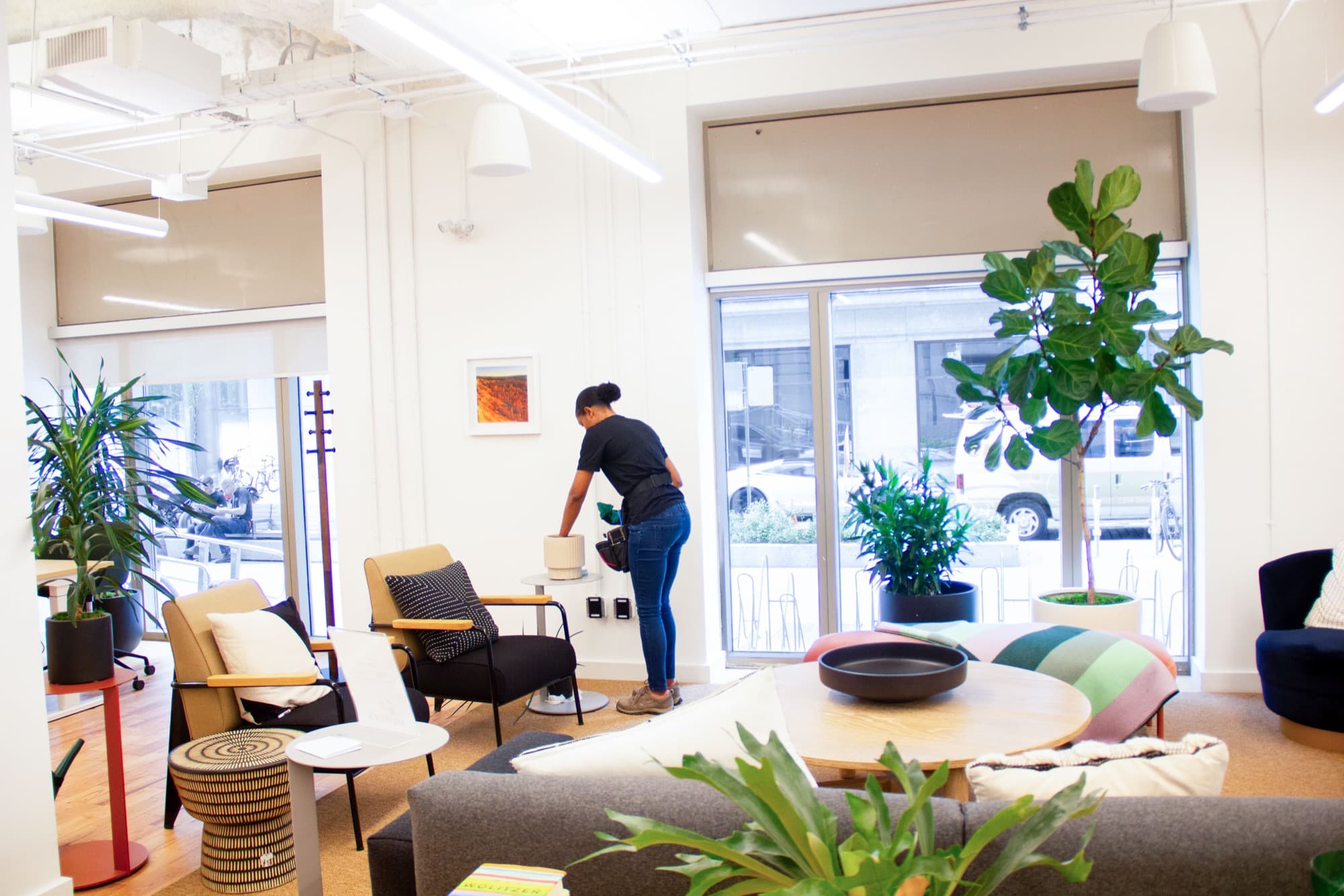 Benji's technician performing office plant maintenance in a Vancouver office