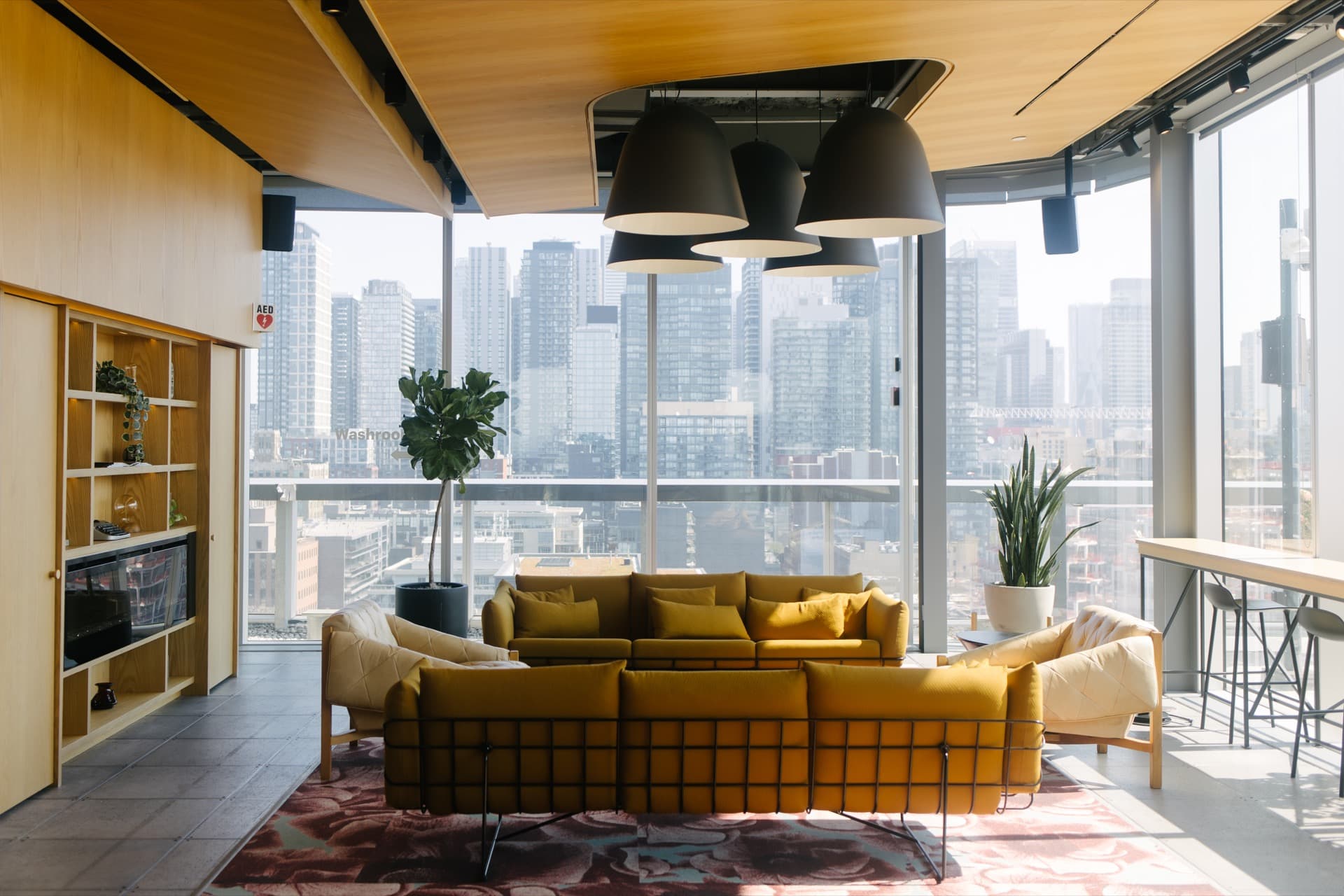 Office plants in a modern Toronto workspace designed and maintained by Benji's