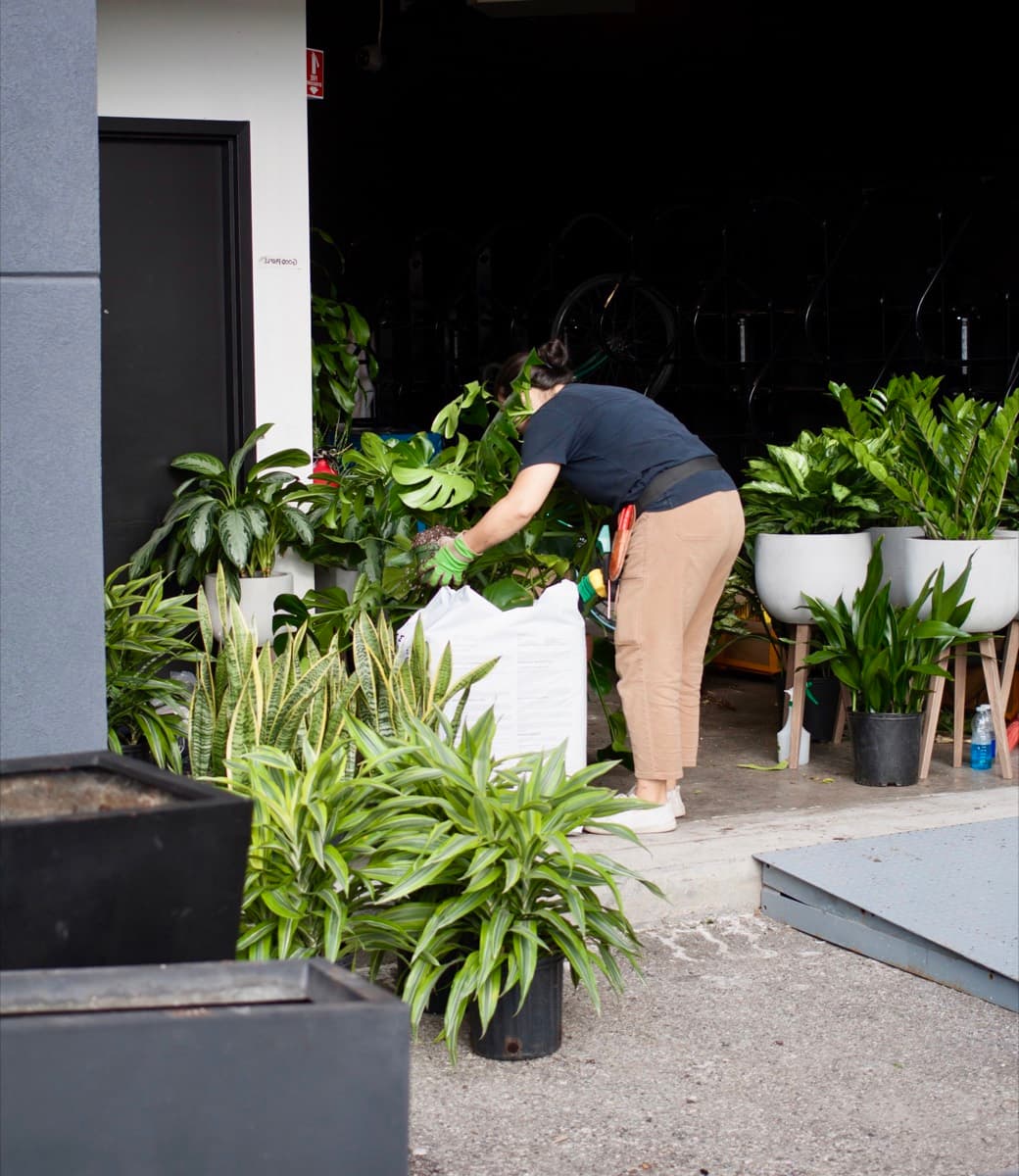 Benji's team completing an office plant installation in downtown Vancouver
