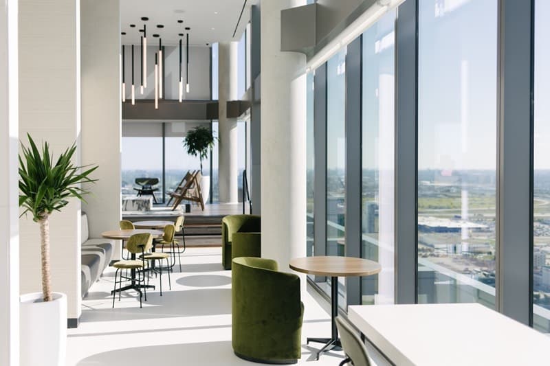 Modern and minimal office plant design with clean lines and sculptural plants by Benji's