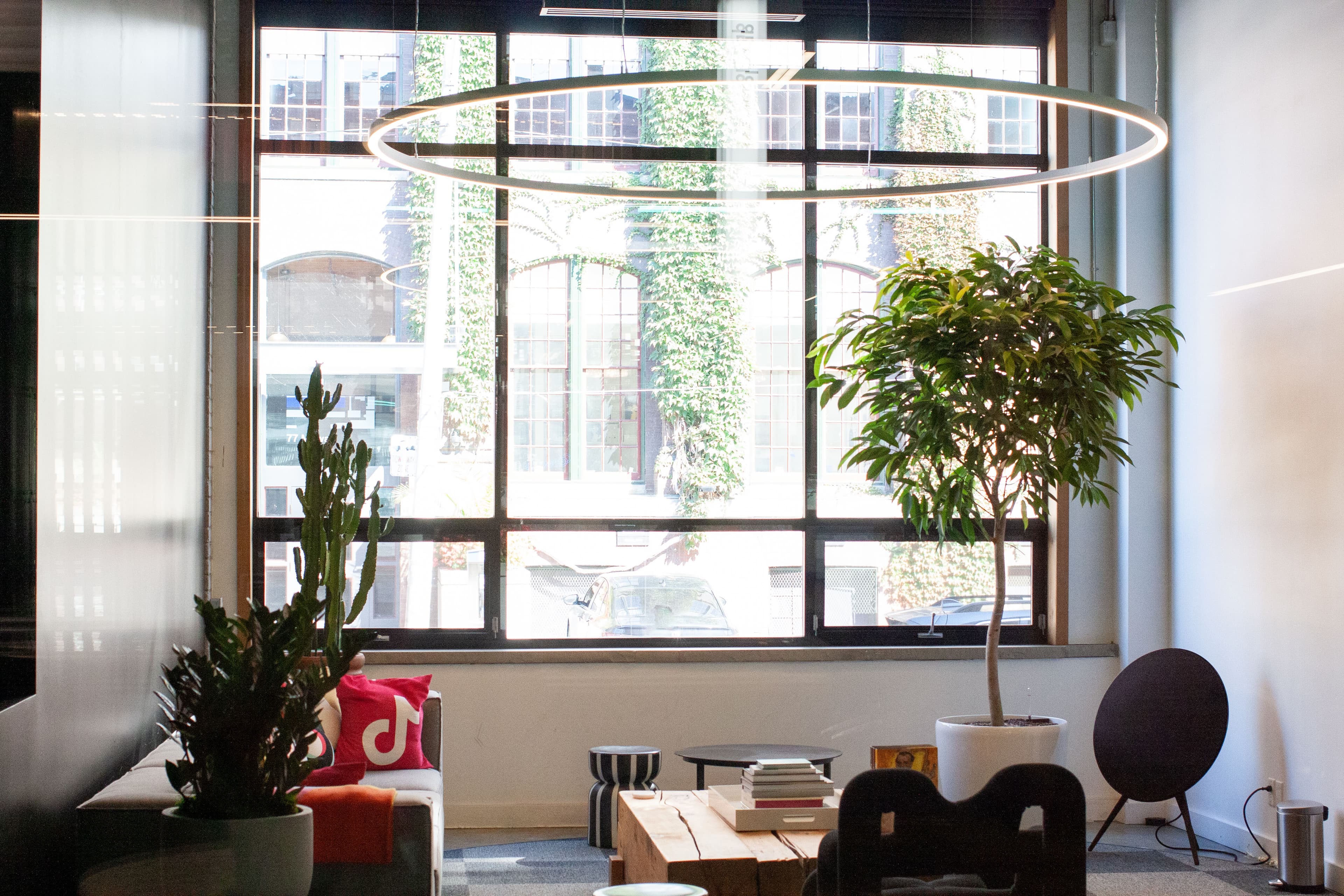 TikTok Toronto office plant maintenance by Benji's