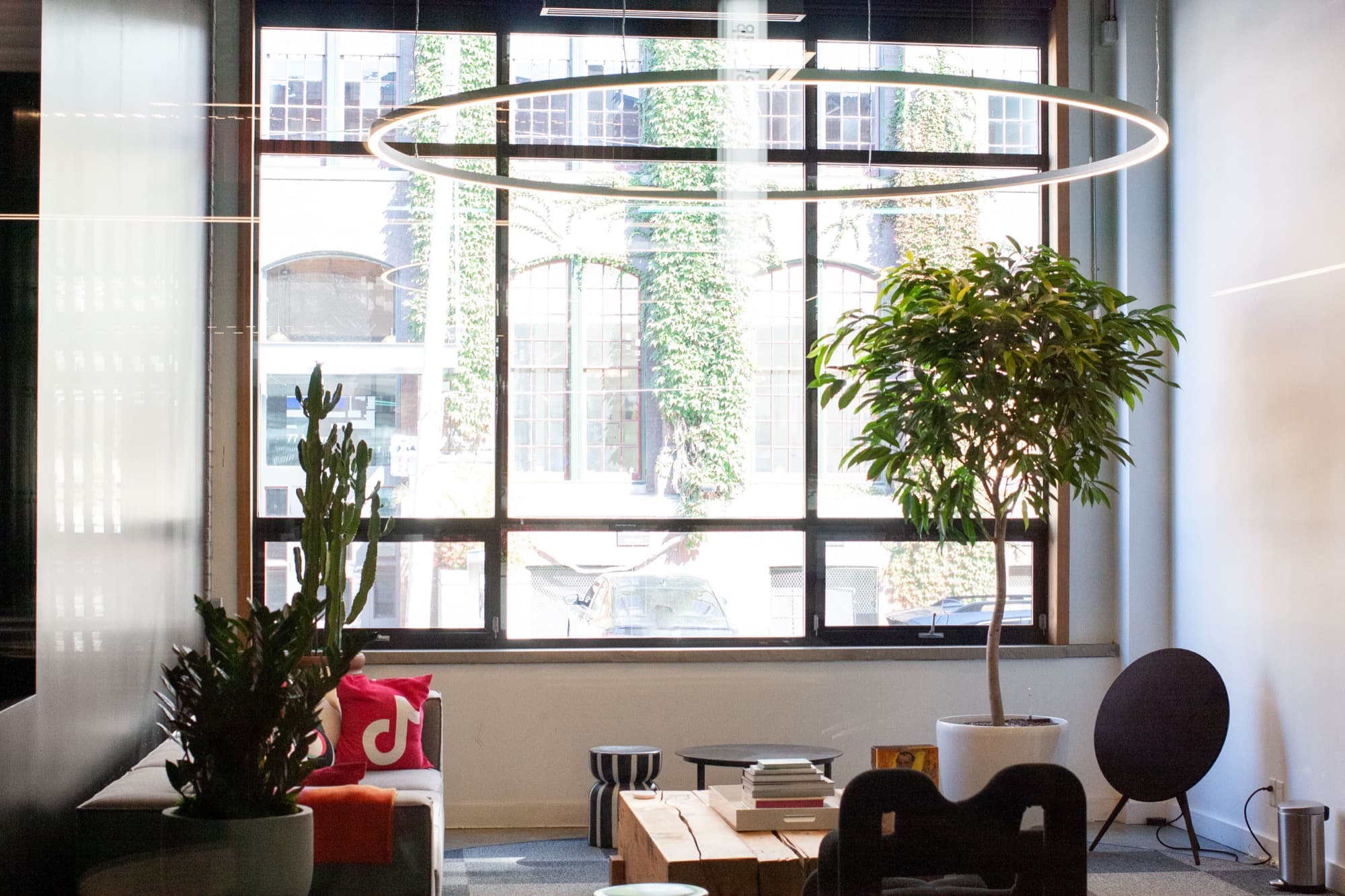 TikTok Toronto office plant maintenance by Benji's