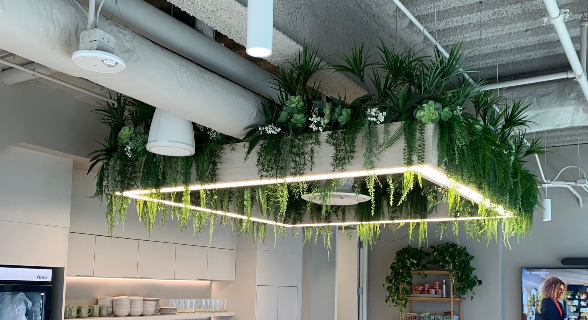 Artificial Plants for Offices: How to Tell Good From Bad