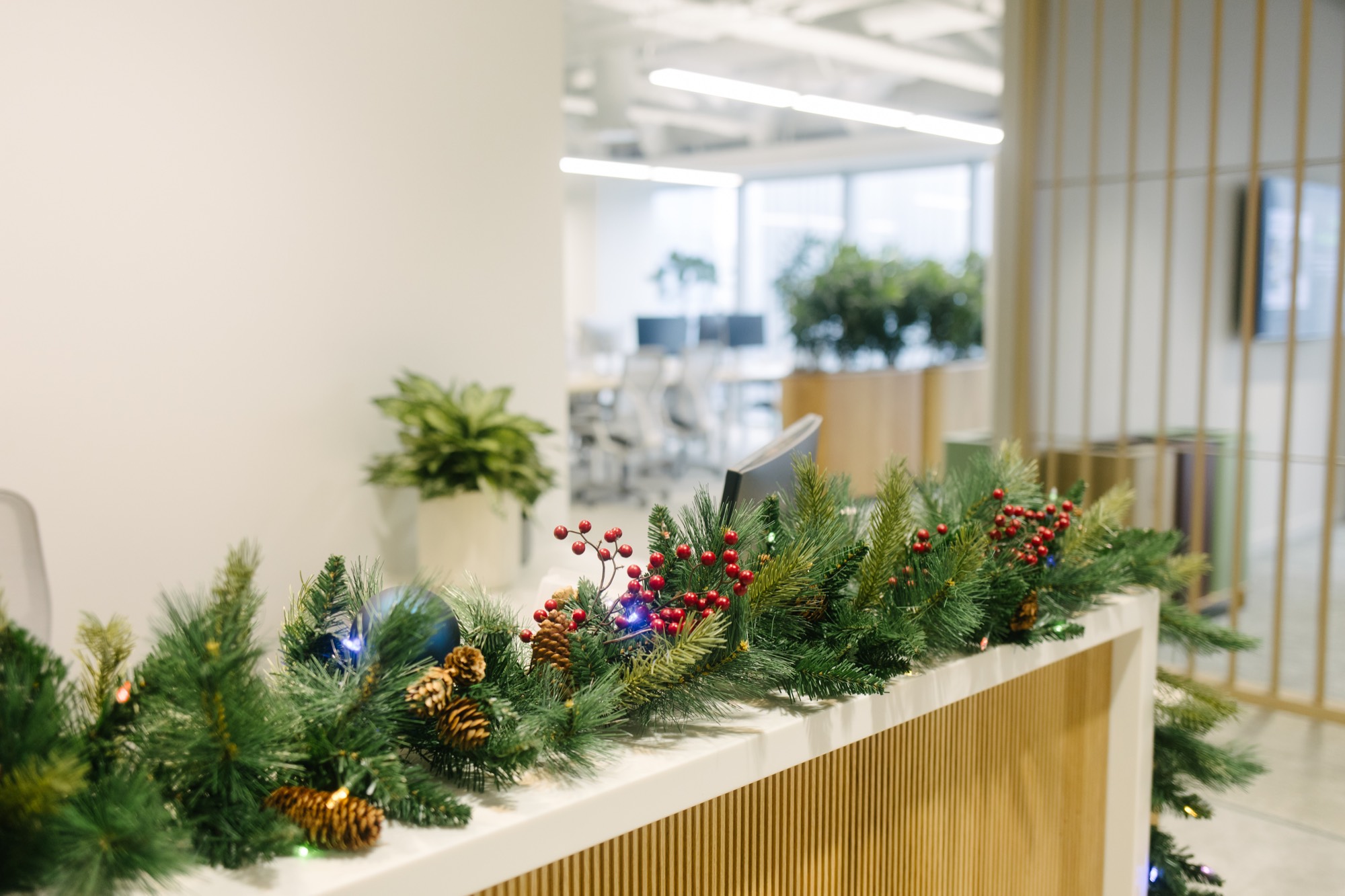 Office Holiday Decor Packages in Toronto: What's Included
