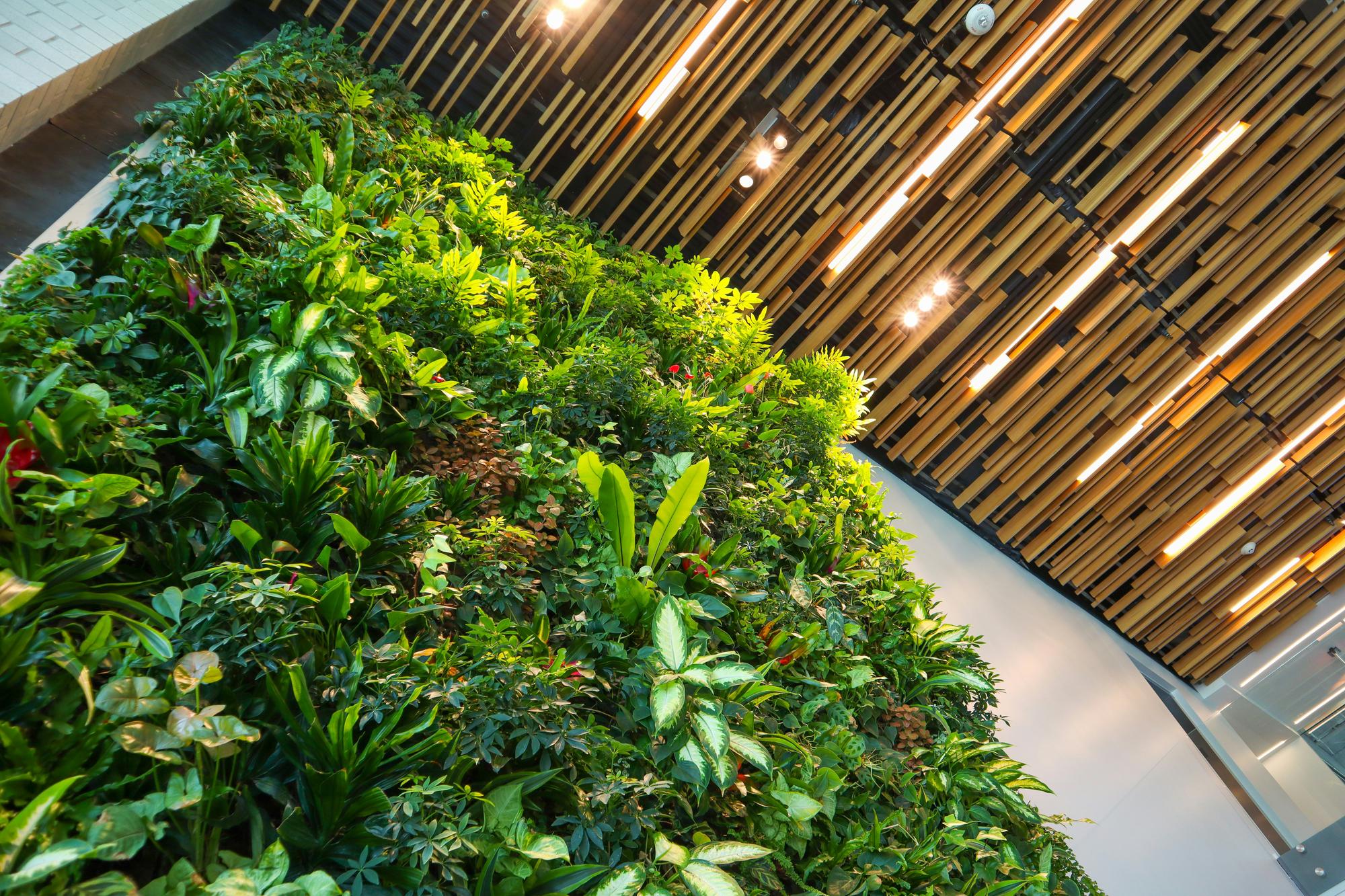 Live or Artificial Green Walls: How to Choose for Your Wall