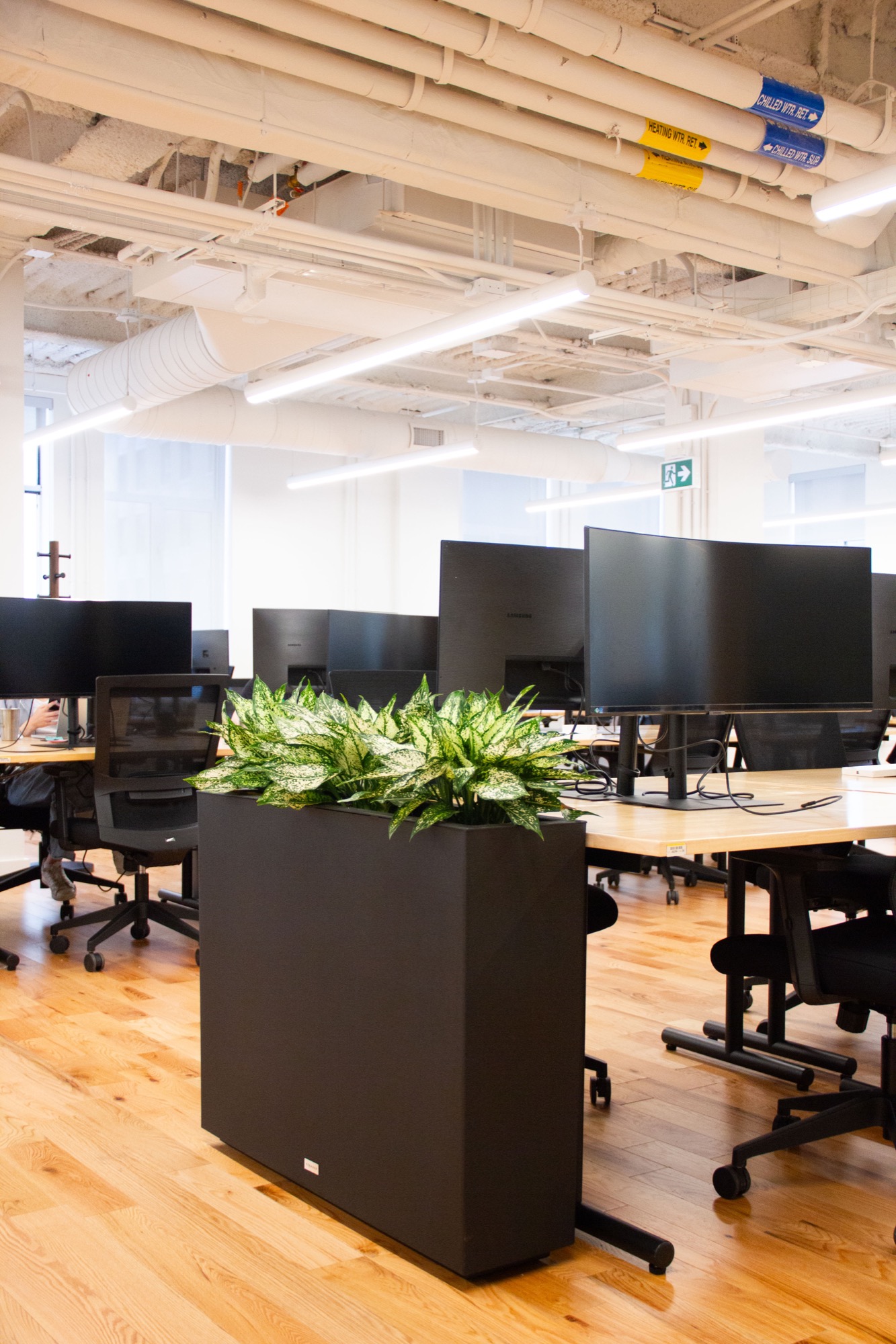A 226-Plant Rental Program Across Three Floors — view 2