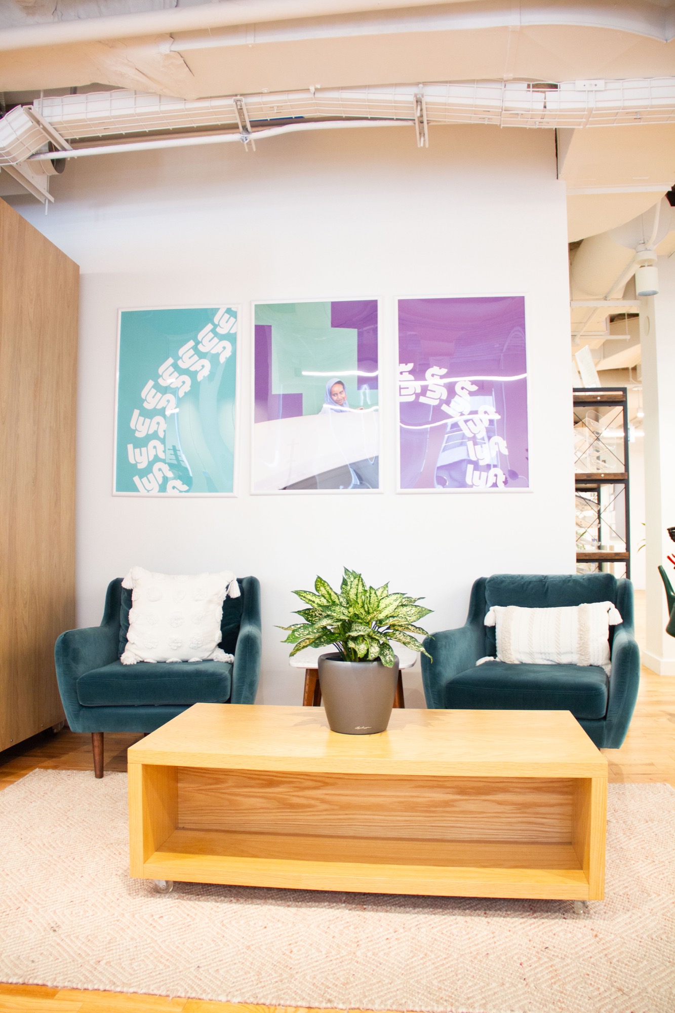 A 226-Plant Rental Program Across Three Floors — view 3